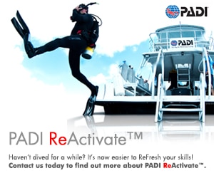 Reactivate