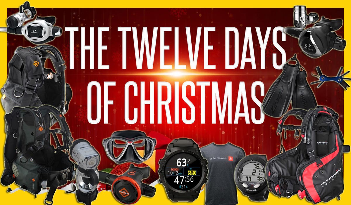 12 Days of Xmas 12 Days of Xmas