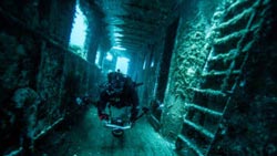 Malta Dive Malta Dive