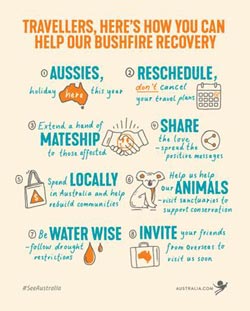 Bush Fire Recovery